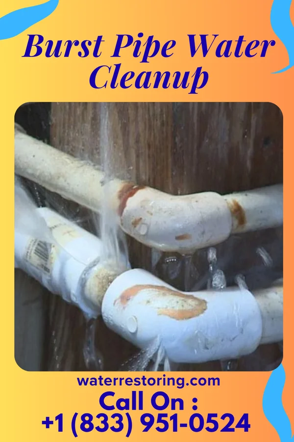 Burst Pipe Water Cleanup in Terryville, NY