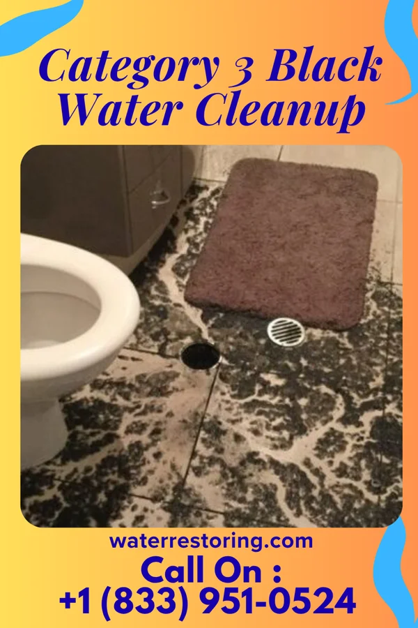 Category 3 Black Water Cleanup in Terryville, NY