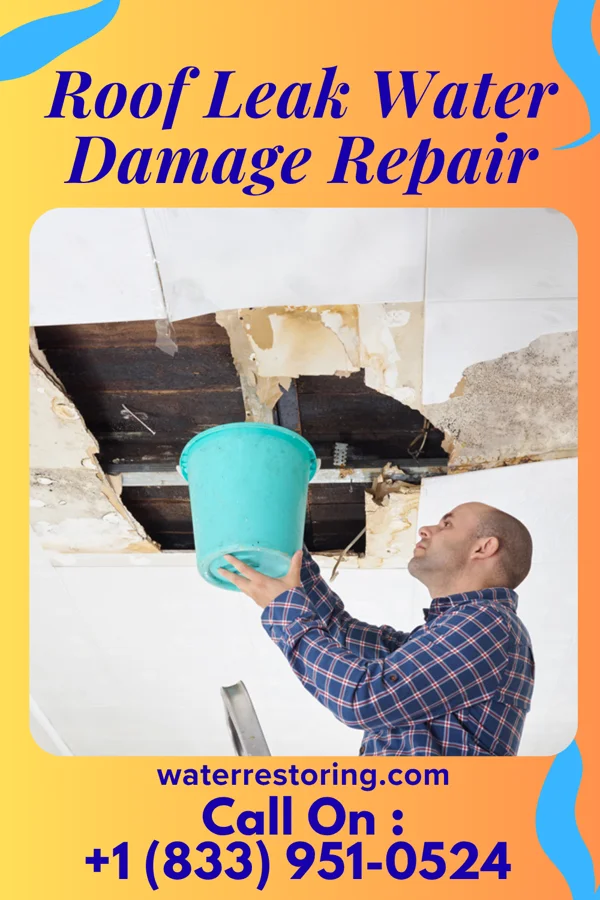 Roof Leak Water Damage Repair in Terryville, NY