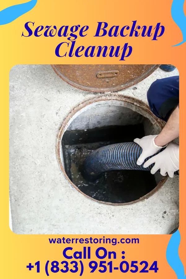 Sewage Backup Cleanup in Terryville, NY
