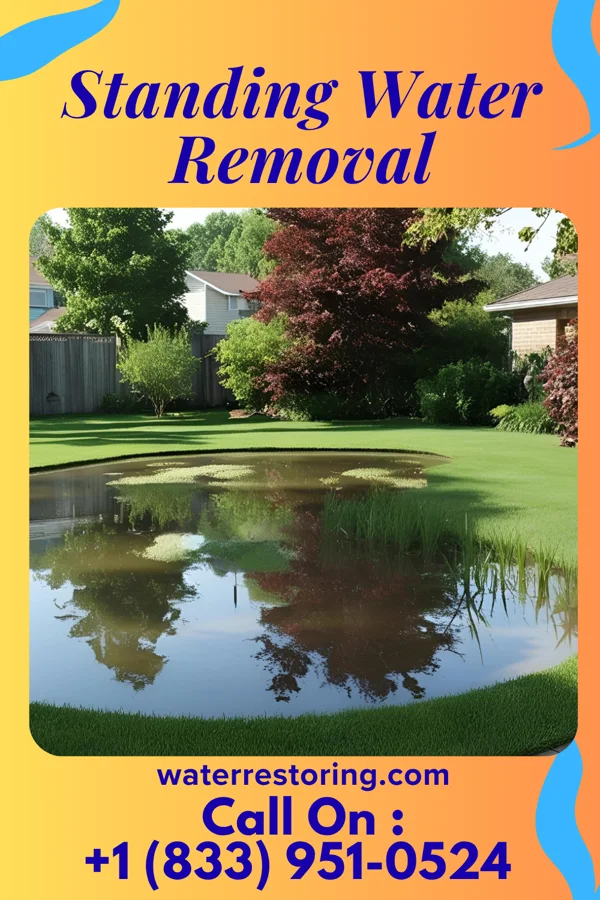 Standing Water Removal in Terryville, NY